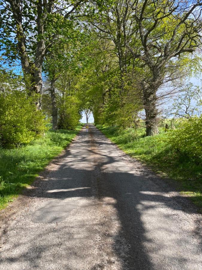 Druid House Lodge Inverness Zewnętrze zdjęcie